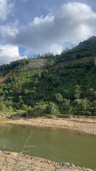 Đất nền Sơn Lâm Khánh Sơn 2520m² 550 triệu - Sổ đỏ chính chủ