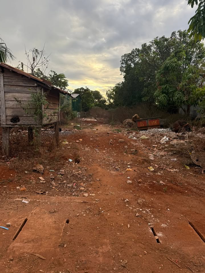 Đất nền Ia Grai 320m² 700-799 triệu - Sổ đỏ chính chủ