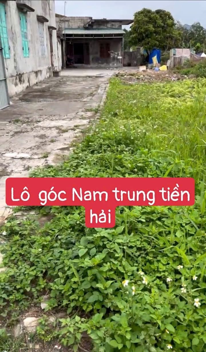 Đất nền Nam Trung Tiền Hải 100m² 600 triệu - Sổ đỏ