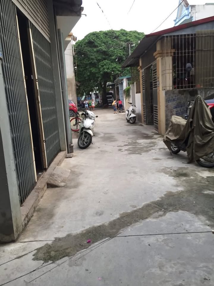 Cho thuê nhà cấp 4 thoáng mát, gần chợ, trường học tại Lý Nhân Tông, TP. Thanh Hóa