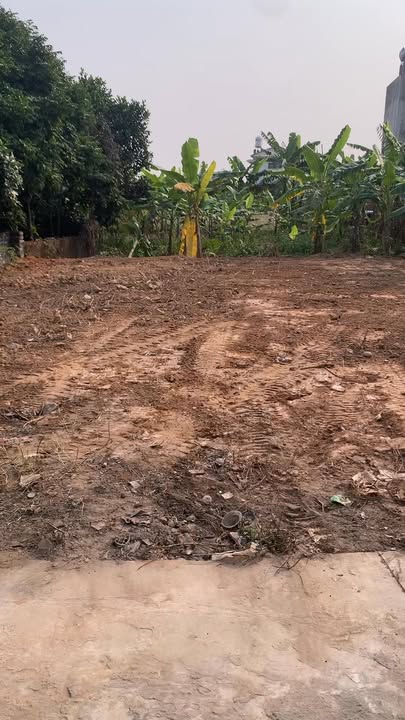 Đất Chính Thượng Lục Nam 95m² 600-699 triệu - Sổ đỏ chính chủ