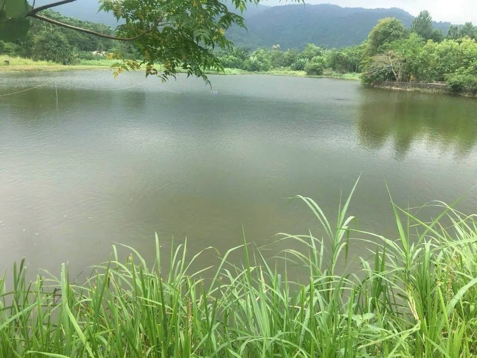 Đất nền Yên Bài Ba Vì 1.900m² hơn 20 tỷ - Sổ đỏ chính chủ