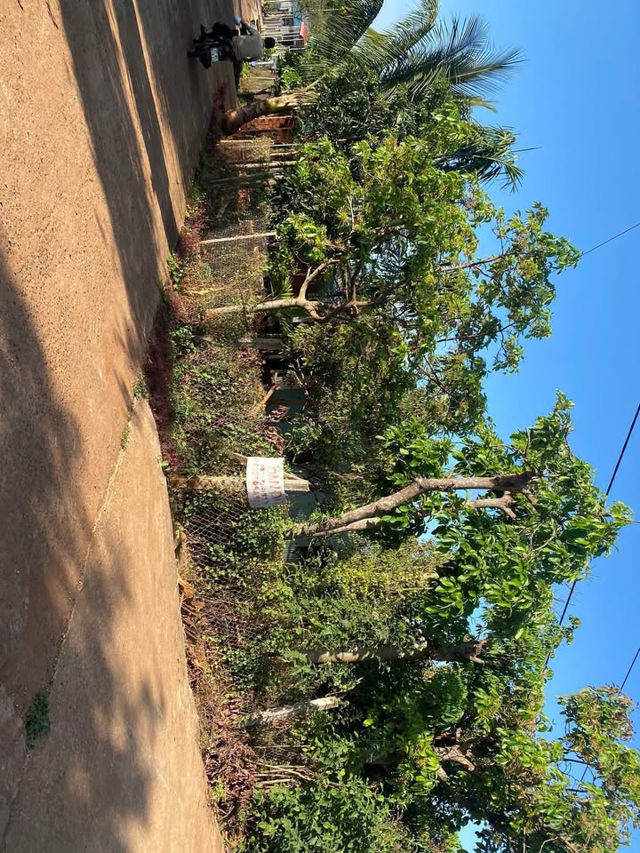 Nhà Thôn 1 Dleyang Nay 340m² - Sẵn sàng ở ngay