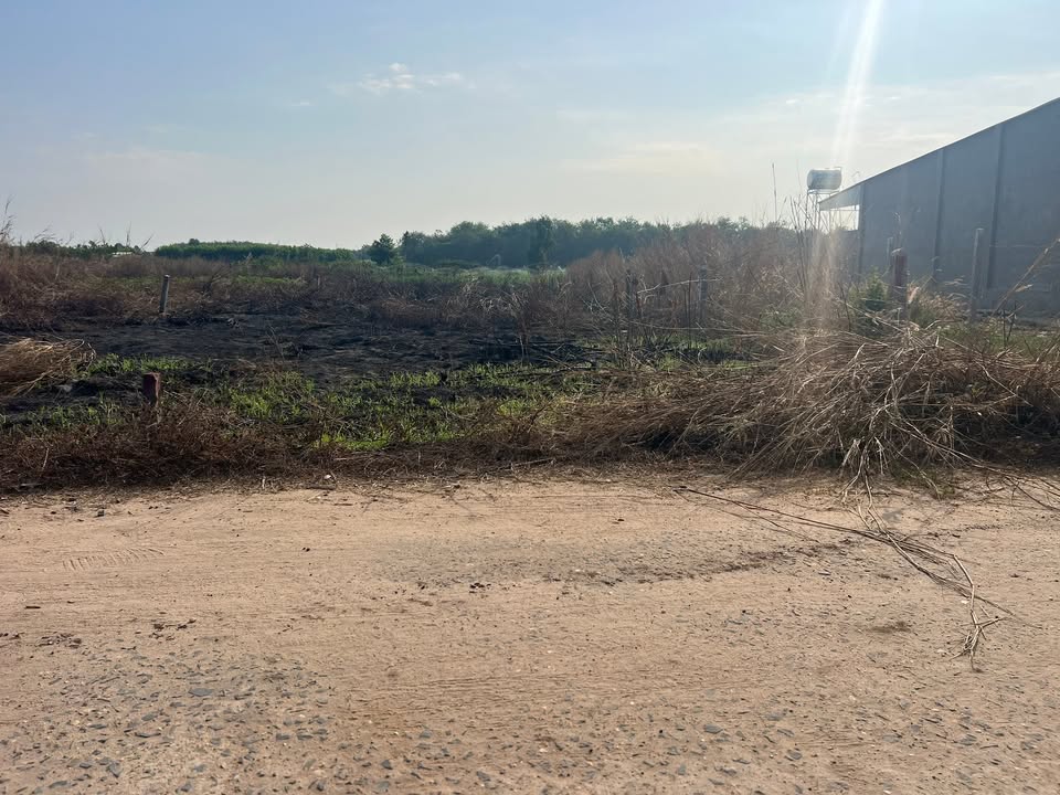 Đất nền Thạnh Nghĩa 245m² 290 triệu - Sổ hồng riêng