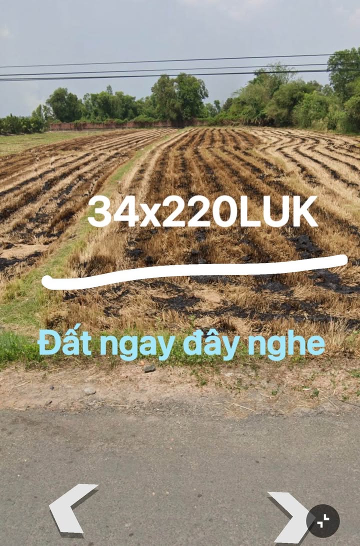 Đất nền Ấp Bắc Thành Long 7.200m² - Đường to ô tô