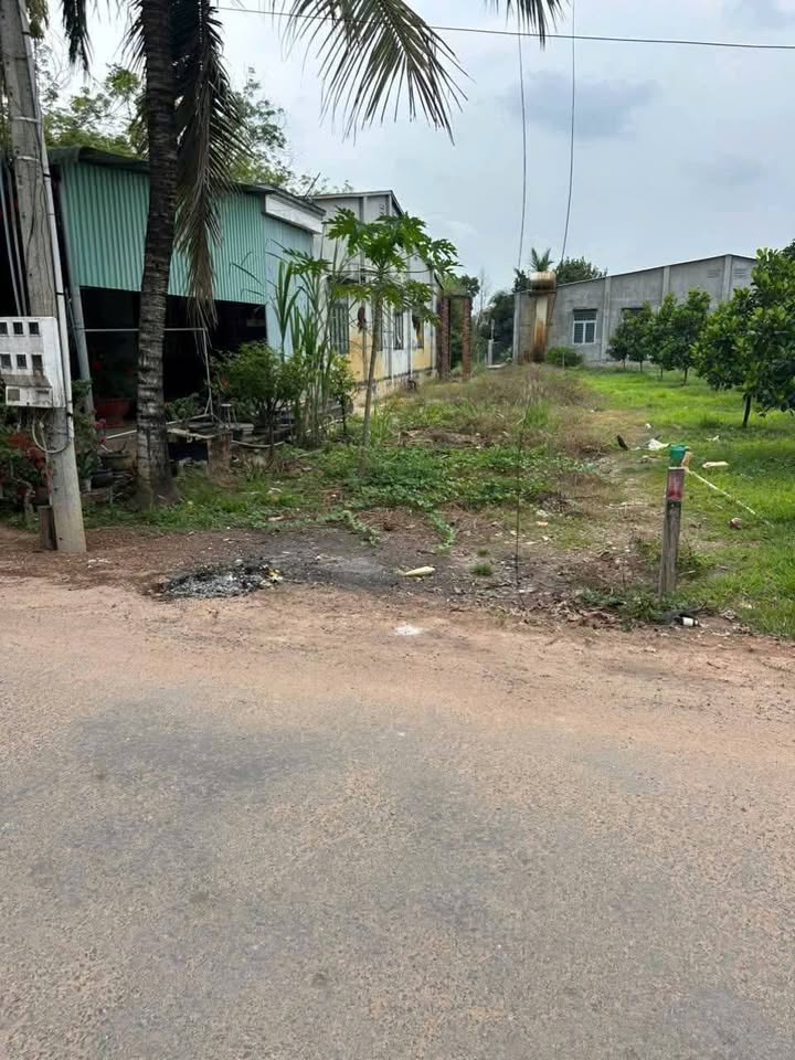 Đất Ấp Thạnh Hưng Tân Châu 200m2 370tr - Sổ đỏ chính chủ