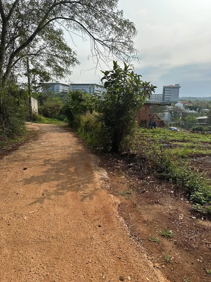 Đất nền Trần Quý Cáp BMT 6.000m² 13 tỷ - Sổ đỏ chính chủ