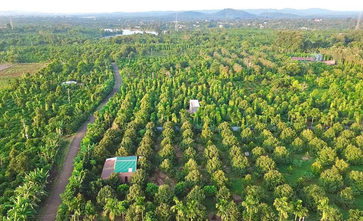 Đất Ea Tam Buôn Ma Thuột 1.800m² 3,9 tỷ - Tiềm năng tăng giá