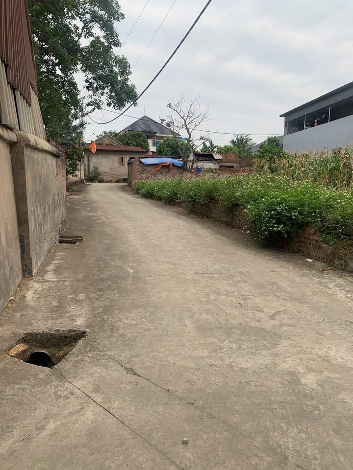 Đất nền Tân An Bắc Ninh 98m² giá 8xx triệu – Sổ đỏ chính chủ