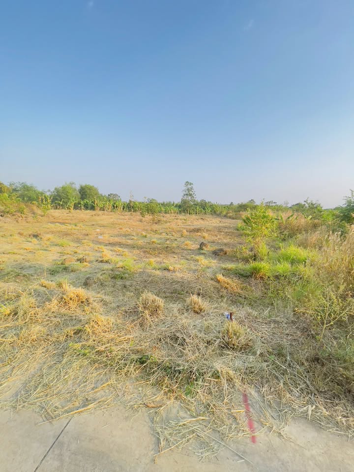 Đất nền Phú Lợi 1080m² 610-650 triệu - Sổ đỏ chính chủ