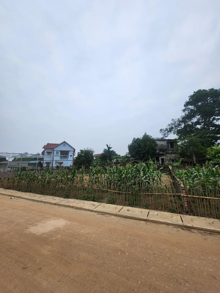 Đất nền Chu Hóa Việt Trì 115m² 1 tỷ - Sổ đỏ chính chủ