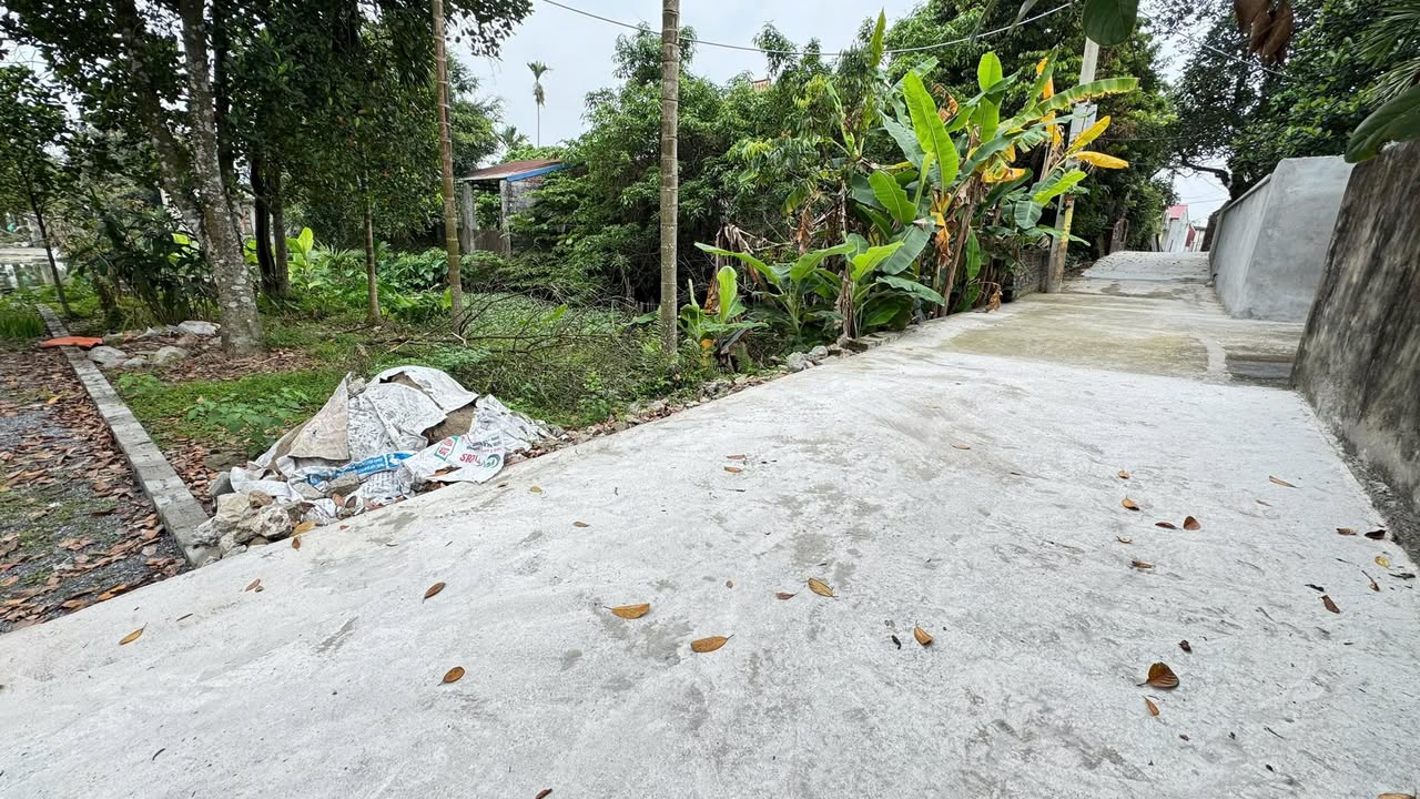 Đất nền Trầm Lộng 90m² 1,6 tỷ - Giá tốt hiếm có