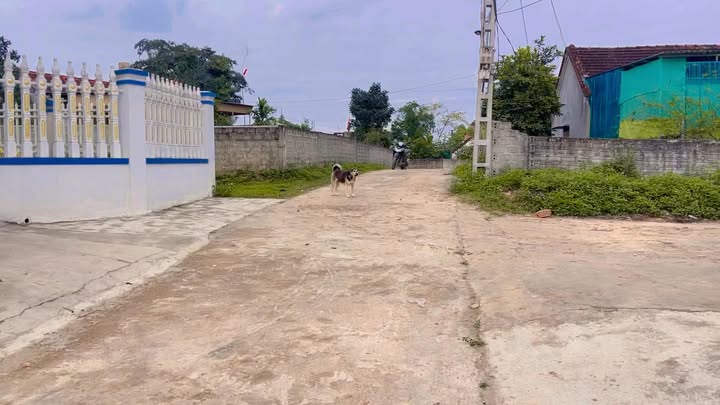 Đất nền Xóm Thị Tứ Tân An 184m² 3xx triệu - Sổ đỏ