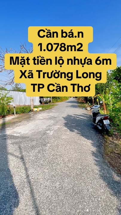 Đất vườn Trường Long 1.078m² 1,38 tỷ - Sổ hồng rõ ràng