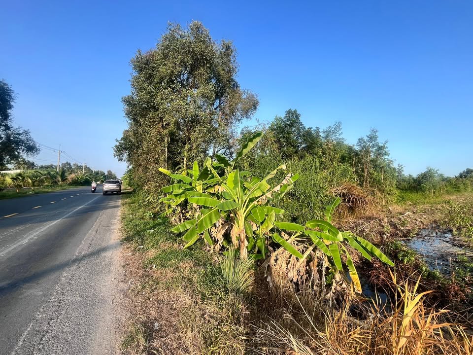 Đất nền Quảng Lộ Phụng Hiệp 2.600m² 1.7 tỷ - Đường to ô tô