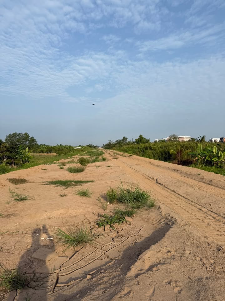 Kho xưởng Lộ 80m Cần Thơ 20.000m² - Hoạt động ngay