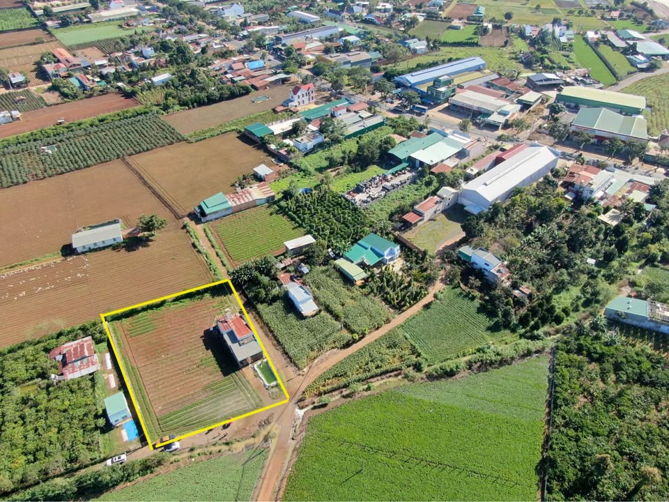 Đất nền Đức Trọng 200m² 1,18-2,36 tỷ - Sổ đỏ chính chủ