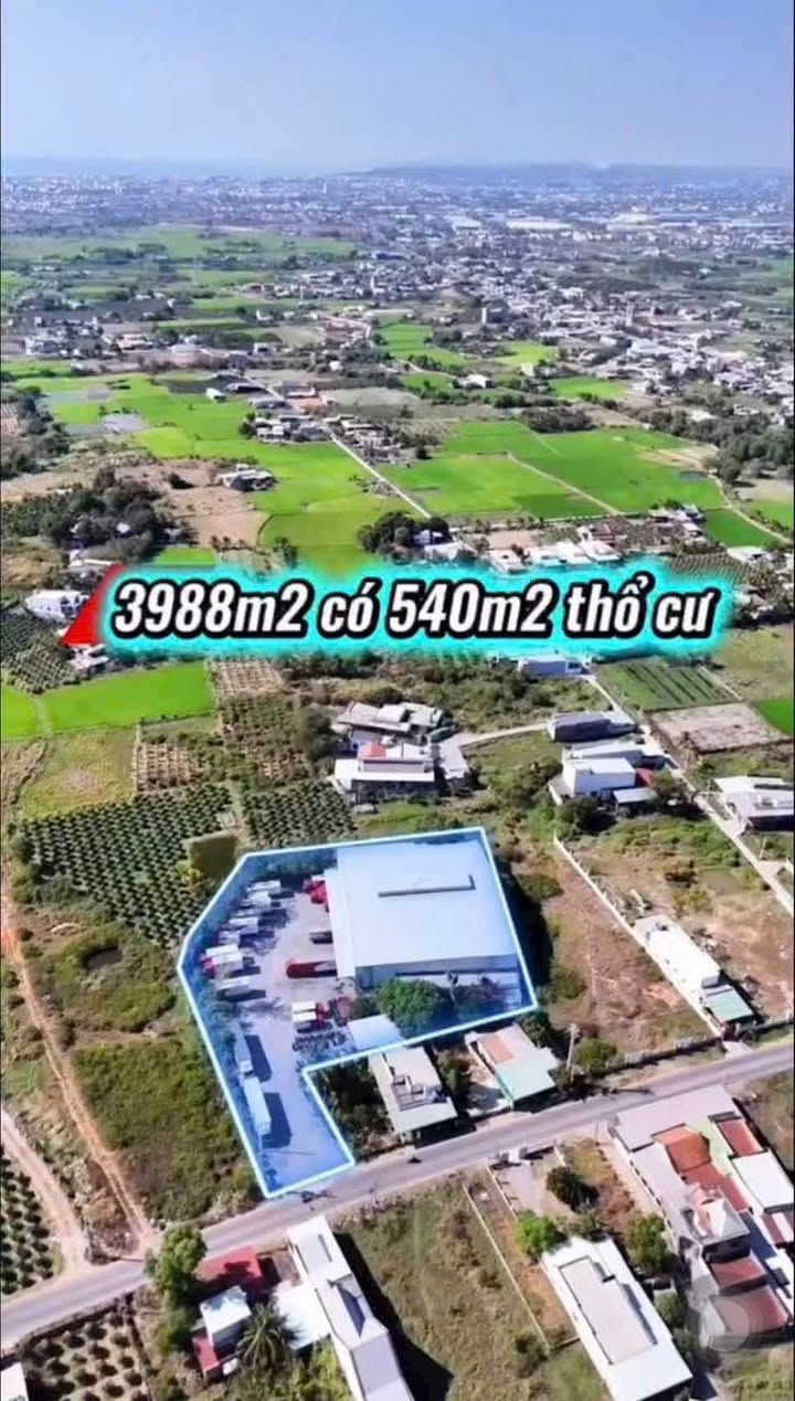 Kho xưởng Nhựa Lại An Cây Trôm 3.988m² 12,5 tỷ - Gần KCN