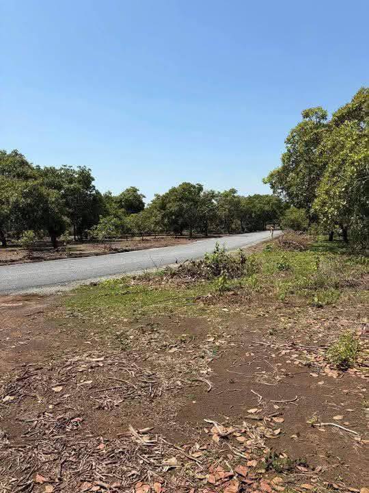 Đất nền Tân Tiến Đồng Nai 2.638m² 550 triệu - Pháp lý rõ ràng