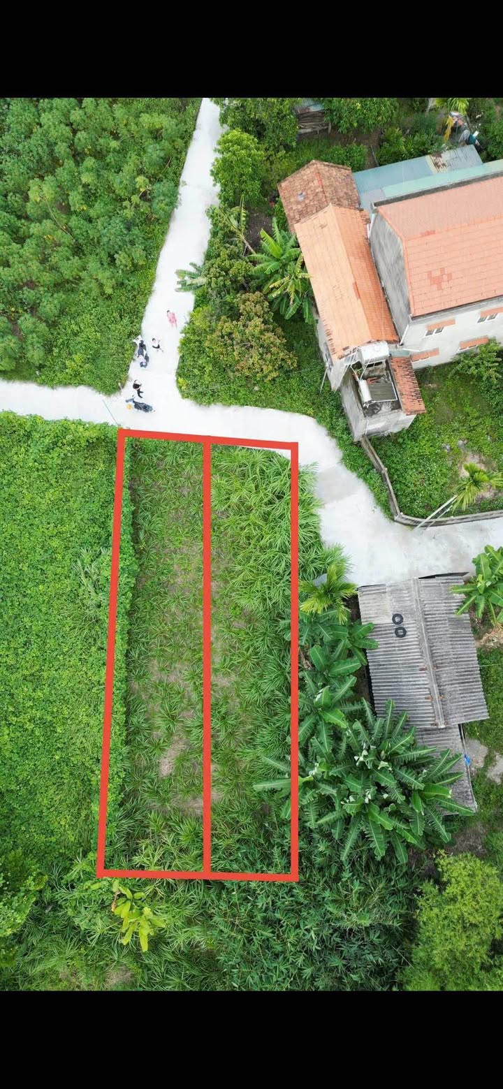 Đất nền Đường dẫn Thạch Bích 250m² giá 1.2 tỷ - Sổ đỏ chính chủ