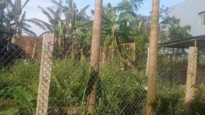 Đất Tam Xuân I Núi Thành 123m² thổ cư - Sổ đỏ chính chủ