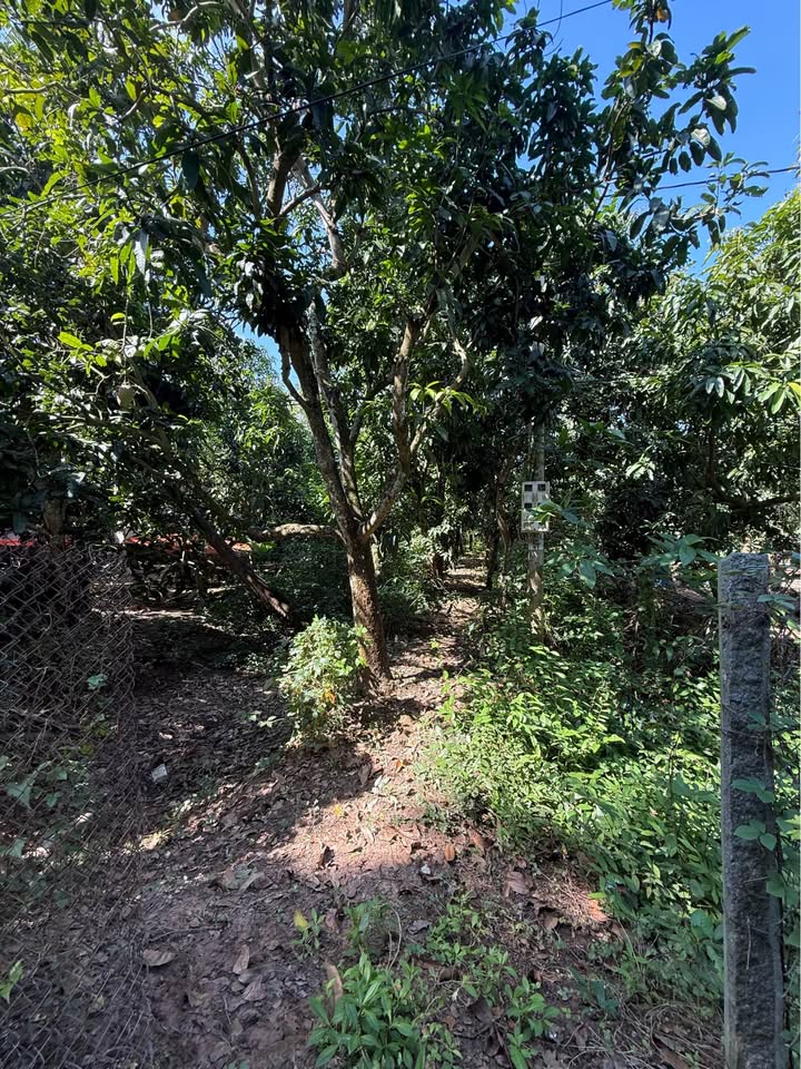 Đất vườn Cao Lãnh 2357m² 1.7 tỷ - Sổ đỏ chính chủ