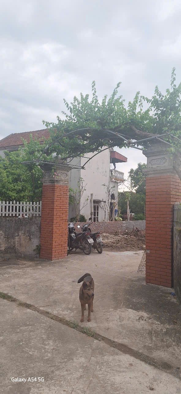 Đất nền Hồng An Hưng Hà 129m² giá 7xx triệu - Sổ đỏ chính chủ