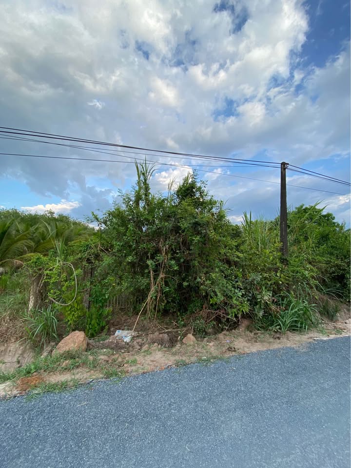 Đất nền Gia Lâm Gia Lộc Trảng Bàng 580m² 1,99 tỷ - Sổ đỏ chính chủ