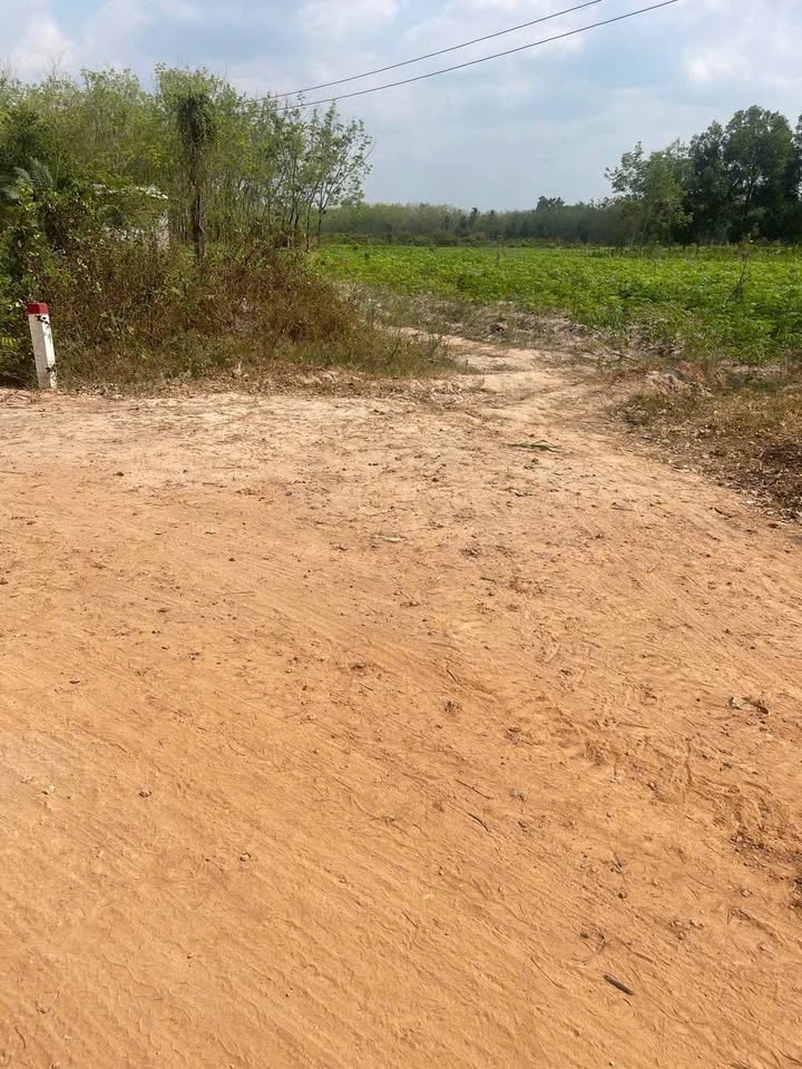 Đất nền Trà Vong Tân Biên 12.000m² 1.6 tỷ - Sổ đỏ chính chủ