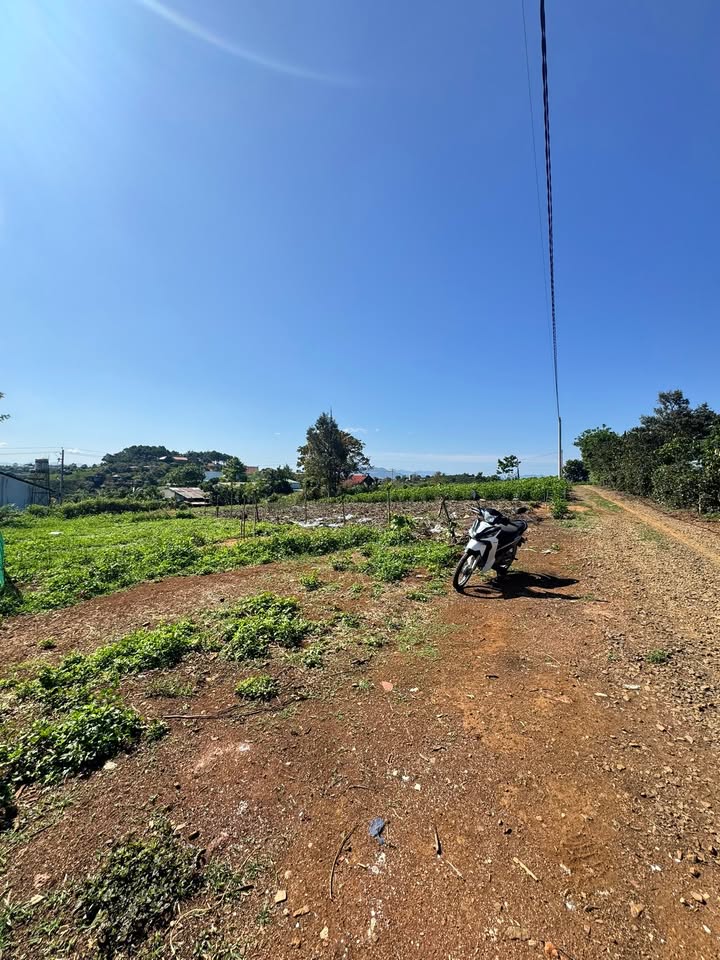 Đất nền Lý Thái Tổ Bảo Lộc 468m² 220 triệu/m ngang - Đất thổ cư