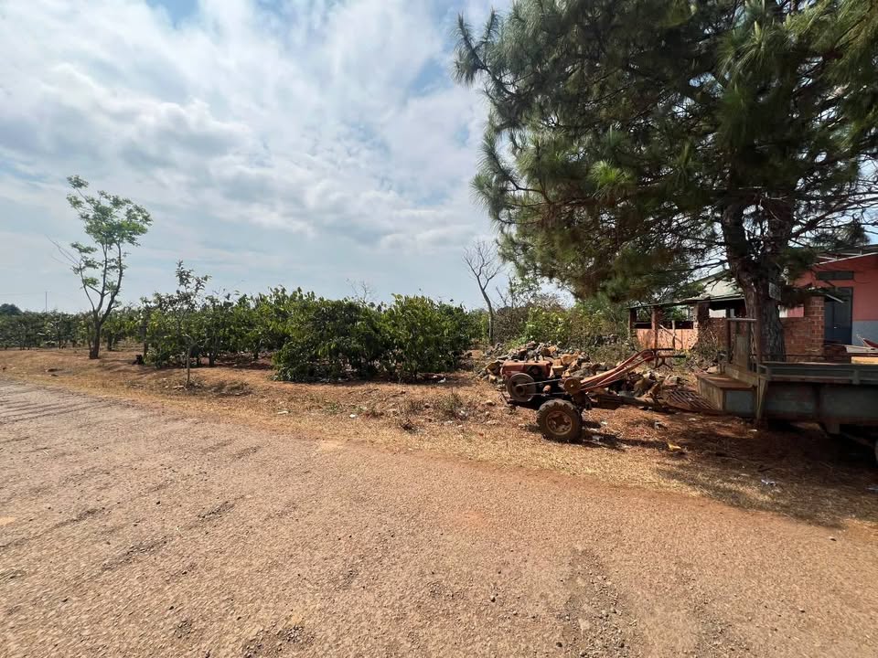 Đất nền Biển Hồ Pleiku 1.360m² 3.2 tỷ - Thổ cư đường ô tô