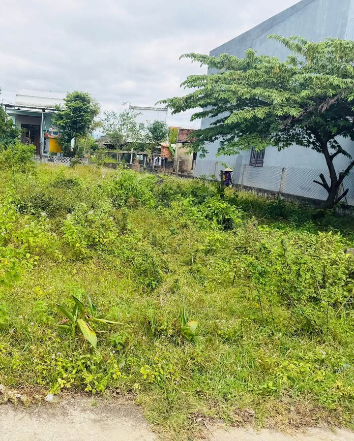 Đất Điện Thắng Bắc 144m² 1.4 tỷ - Tiềm năng tăng giá