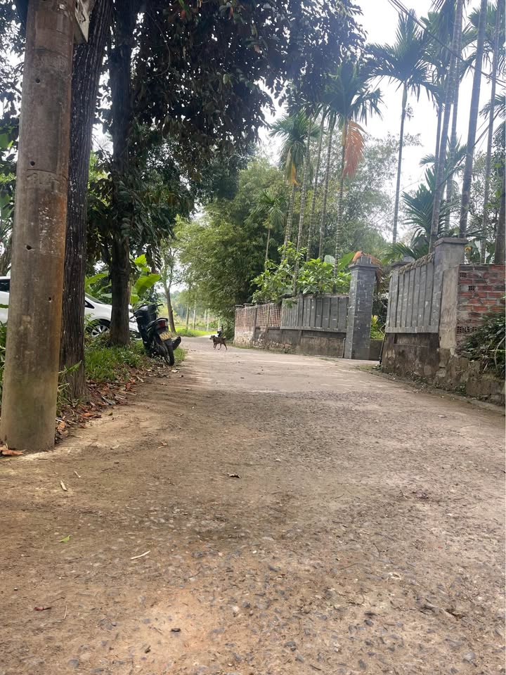 Đất nền Phước Hưng Hòa Ninh 125m² 1 tỷ Sổ đỏ chính chủ