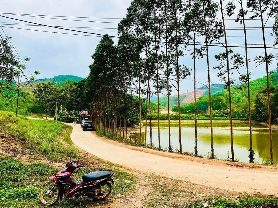 Đất nền Yên Thế 1.650m² 1.485 tỷ - Sổ đỏ chính chủ