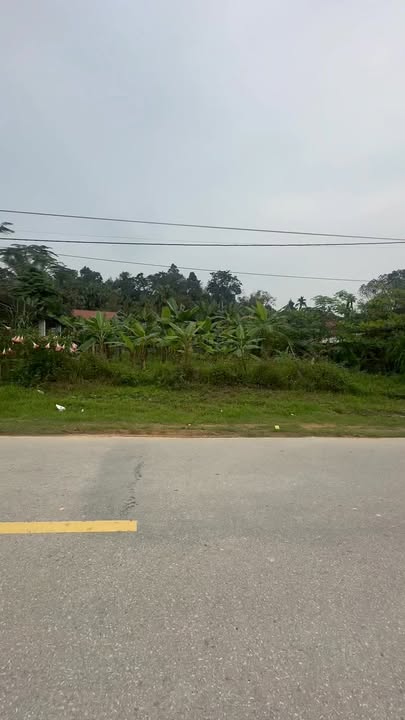 Đất Sơn Lễ Hương Sơn 230m² 1 tỷ xxx - Sổ đỏ chính chủ