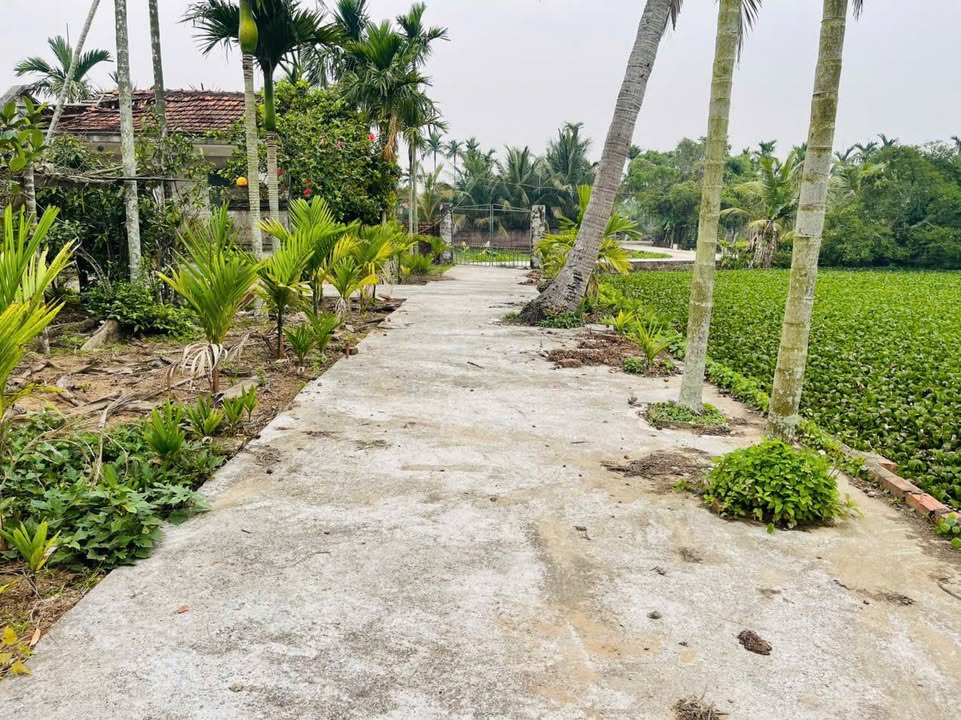 Đất Thái Xuyên 186m² giá thỏa thuận - Sổ đỏ chính chủ