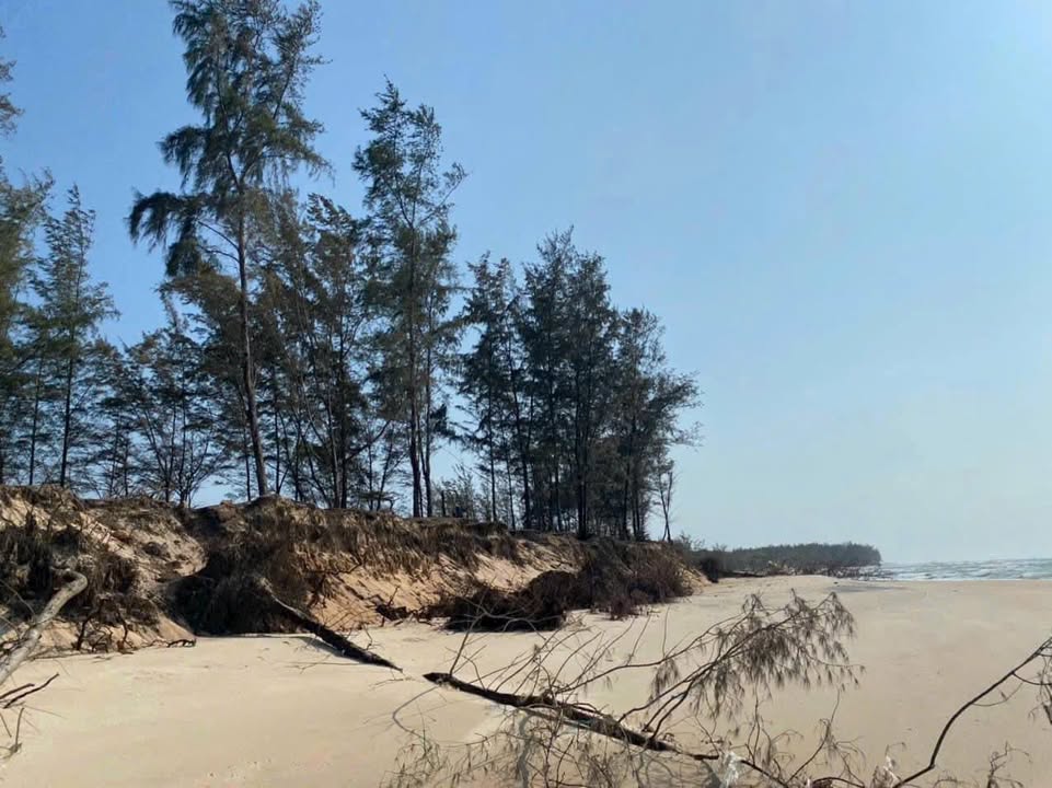 Đất biển Tân Thắng 2ha 20 tỷ - Sổ đỏ chính chủ