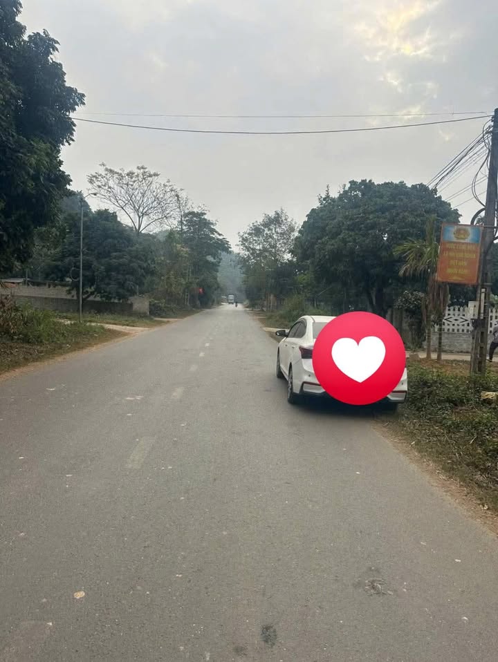 Đất nền Nho Quan 338m² 9xx triệu - Sổ đỏ chính chủ