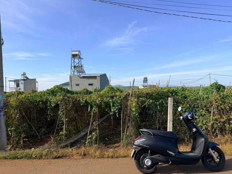 Đất nền N'Thol Hạ Đức Trọng 110m² 1.1 tỷ - Sổ đỏ chính chủ