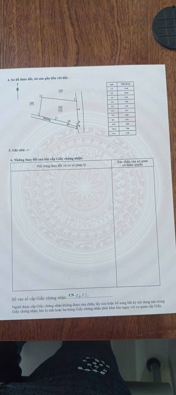 Đất Lúa Bình Hòa 275m² gần Võ Văn Kiệt - Tiềm năng tăng giá!