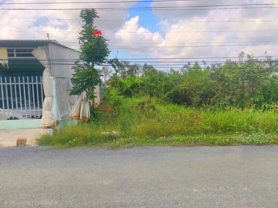 Đất Xẻo Lá Châu Hưng 277m² 1.2 tỷ - Sổ hồng chính chủ