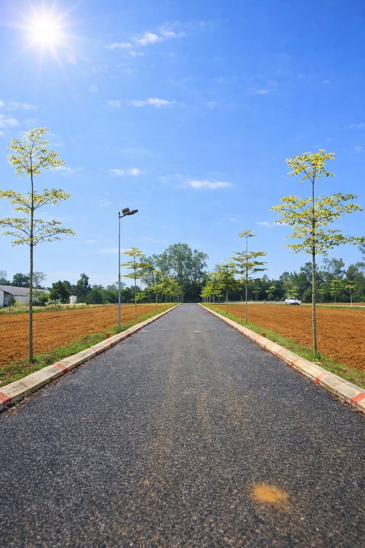 Đất nền Thọ Ngọc Triệu Sơn 130m² 400 triệu - Sổ đỏ chính chủ