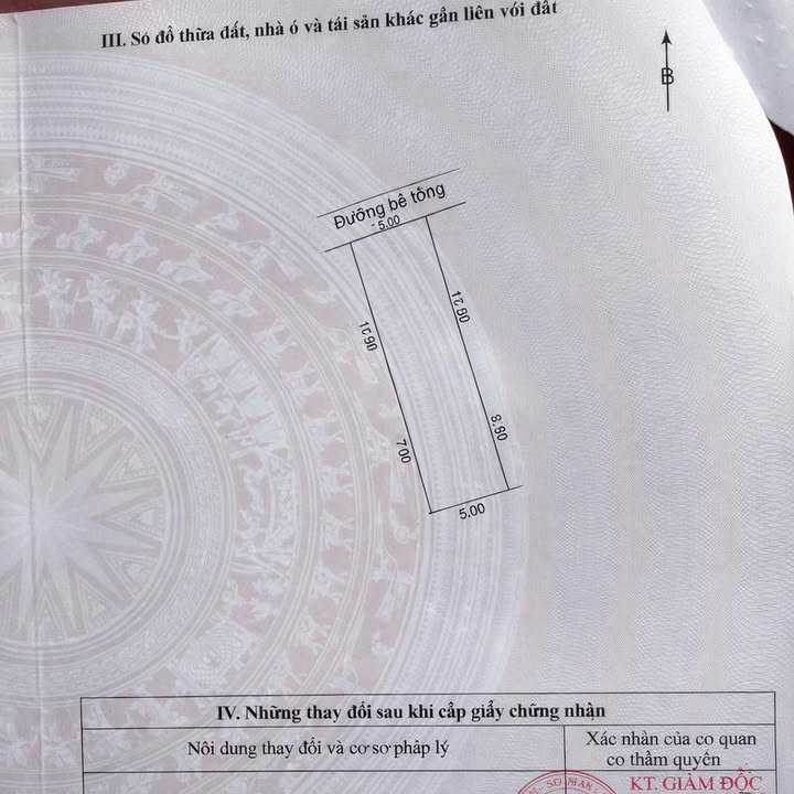 Đất nền Lê Trọng Tấn Cẩm Lệ 87m² 3 tỷ - Sổ đỏ