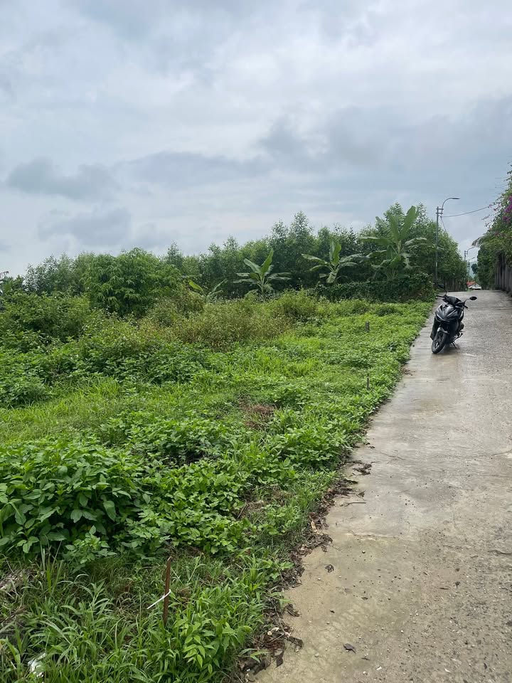 Đất Thôn Khương Mỹ Hòa Phong 120m² - Đường ô tô rộng