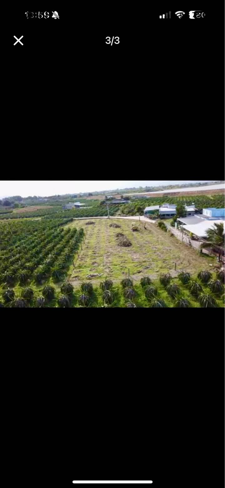 Đất nền Phú Tài 1.700m² 790 triệu - Sổ đỏ chính chủ