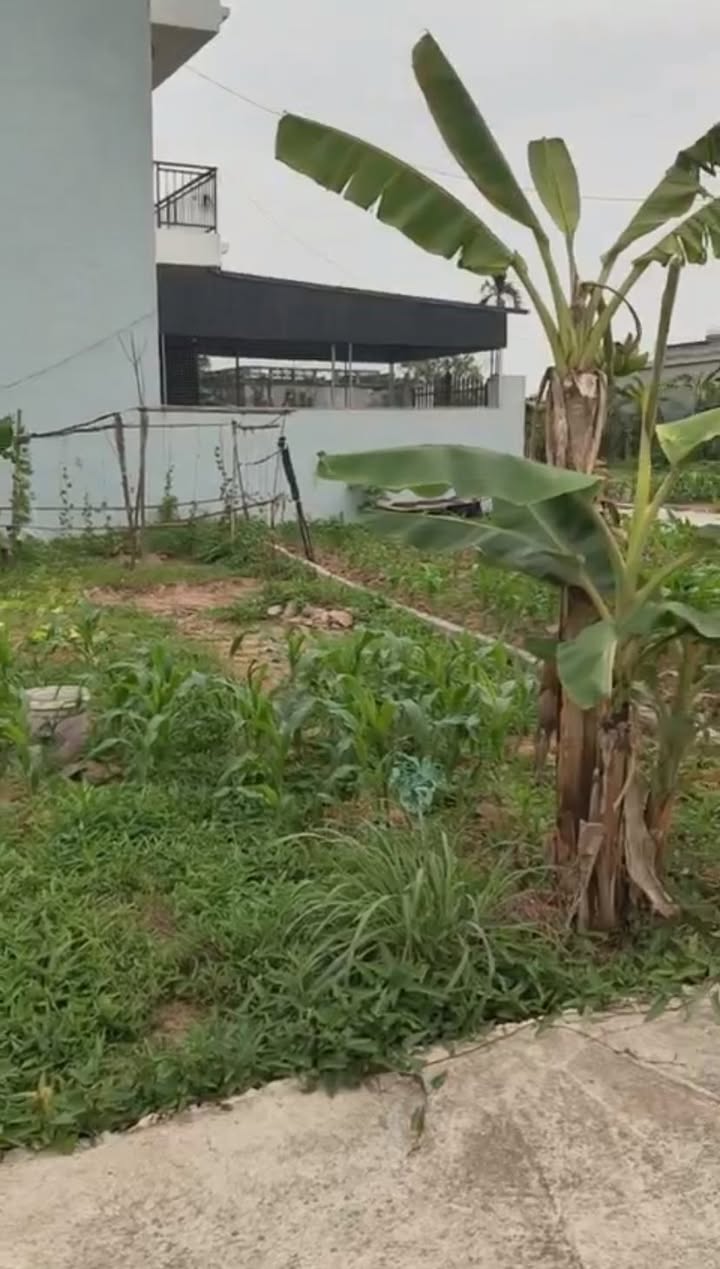 Đất nền Hòa Bình Kiến Xương 90m² 6xx triệu - Sổ đỏ chính chủ