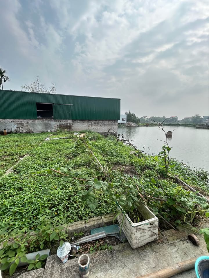 Đất nền Bạch Thượng 62m² 1.1 tỷ - Đường ô tô vào đất