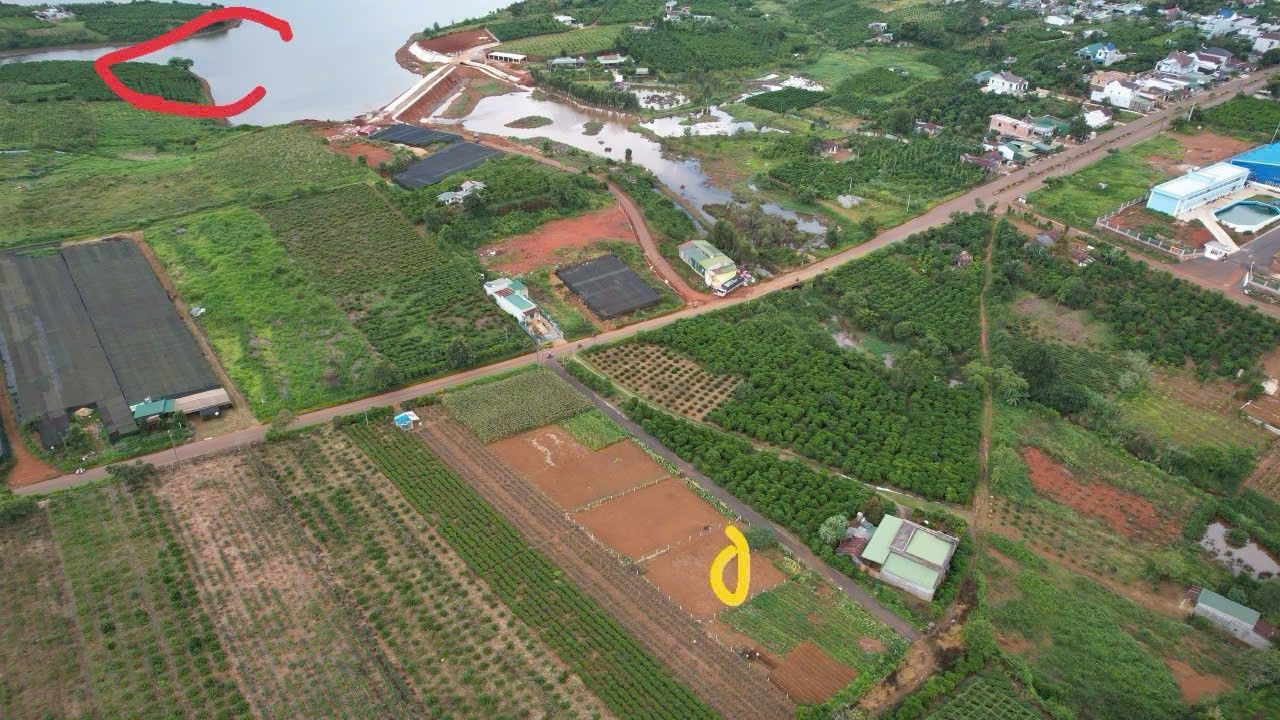 Đất Lộc Quảng Bảo Lâm 560m² 3,2 tỷ - Sổ đỏ chính chủ