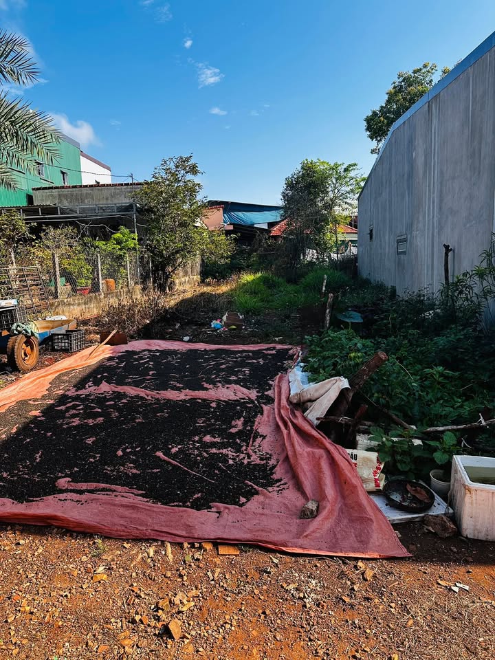 Đất nền Ea Drăng 256m² 1.55 tỷ - Sổ đỏ chính chủ