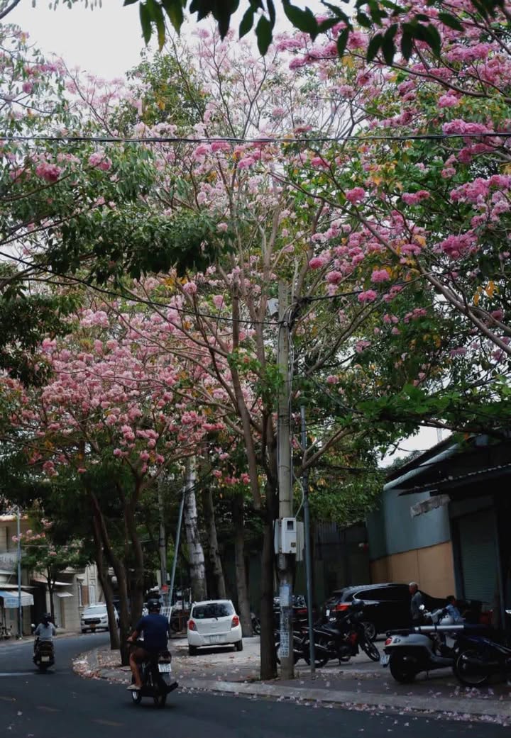 Căn hộ Vũng Tàu Center 102m² 4,15 tỷ - View đẹp